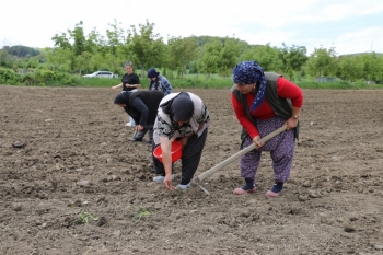Başkan Halit Doğan