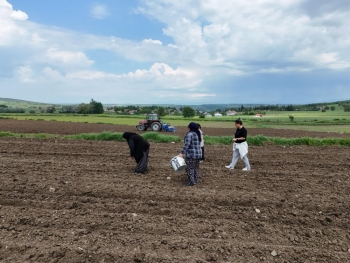 Başkan Halit Doğan