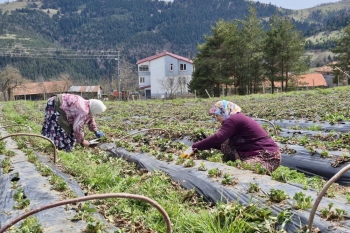 Başkan Halit Doğan