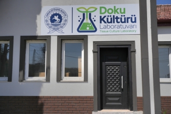 Başkan Halit Doğan