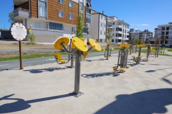 Başkan Halit Doğan